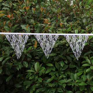 10m long 48 Flags Lace Vintage Banner Bunting Flag Wedding Party Decor 