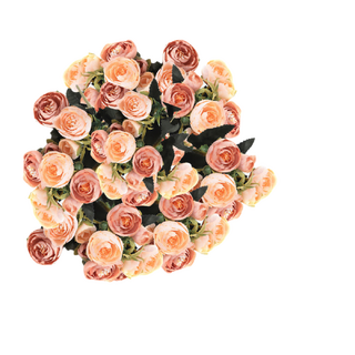 10 x 10 Heads Artificial Camellia Bouquet Coffee and Champagne Bulk 25cm