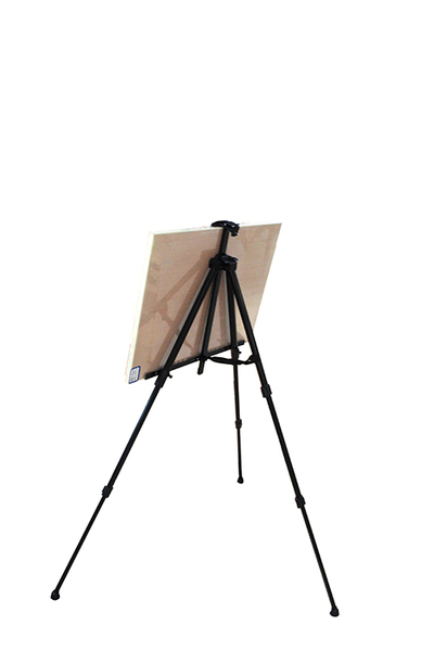 New White Wedding Foldable 165cm Wooden Tripod Easel Artist Art Painting  Stand